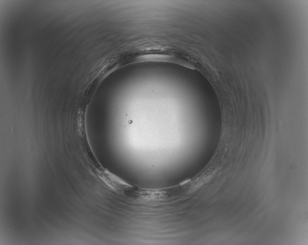 X0000053000288200507221255