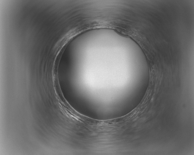 X0000053000290200507221254