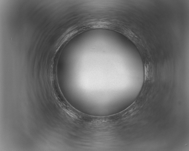 X0000053000291200507221254