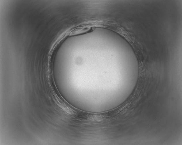 X0000053000293200507221254