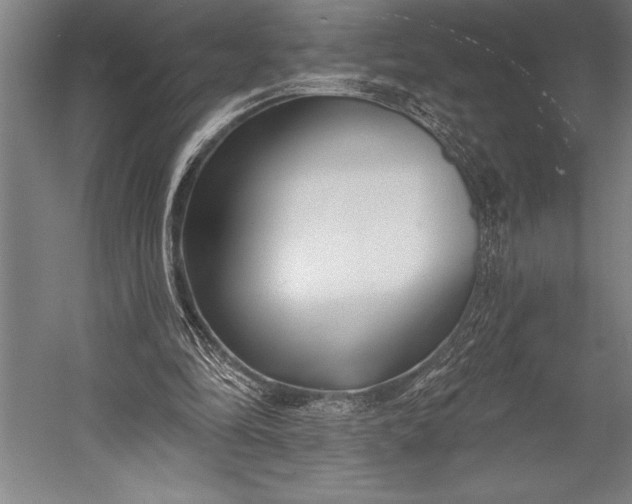 X0000053000294200507221254