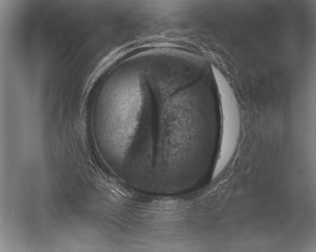 X0000053000295200507221254