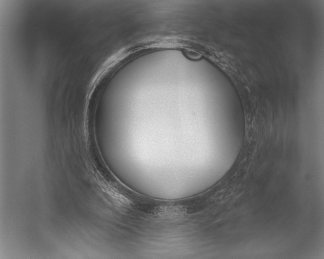 X0000053000296200507221254