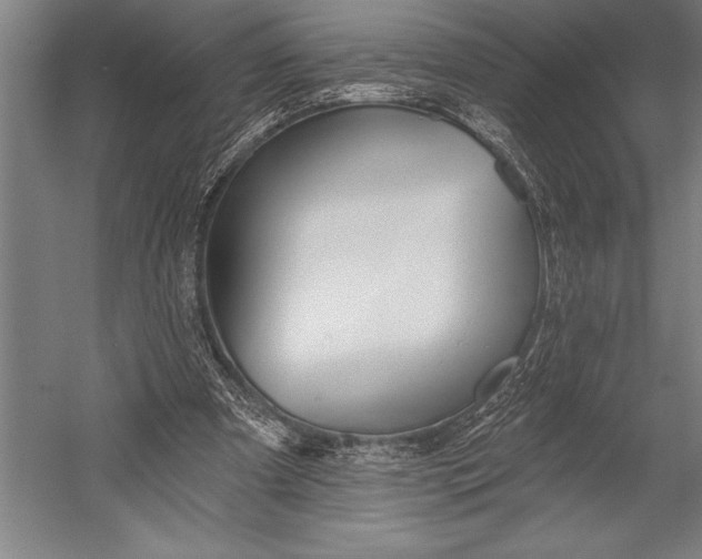 X0000053000297200507221254