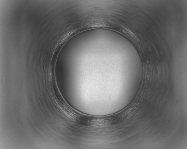 X0000053000298200507221254