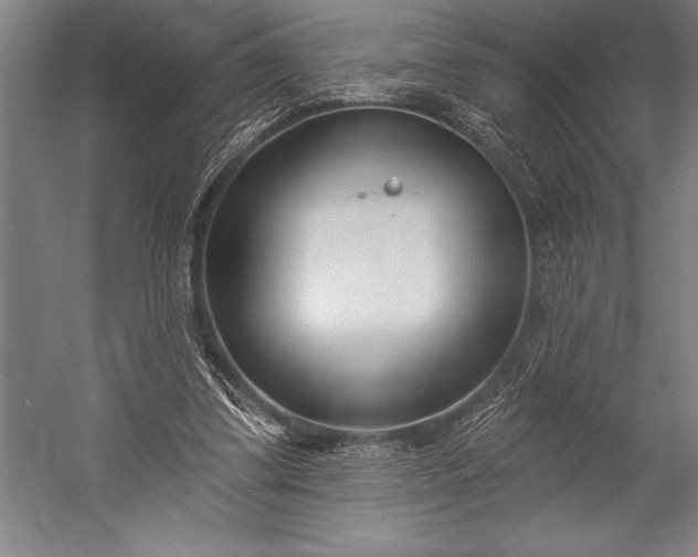 X0000053000299200507221254