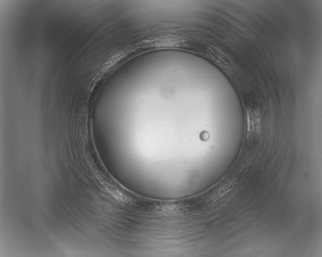 X0000053000301200507221254