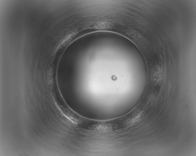 X0000053000303200507221254