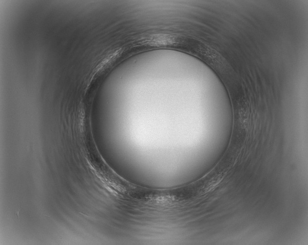 X0000053000304200507221254