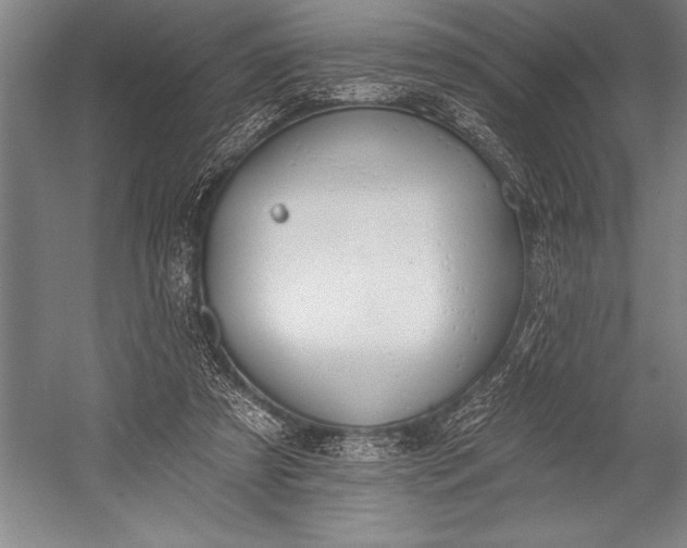 X0000053000305200507221254