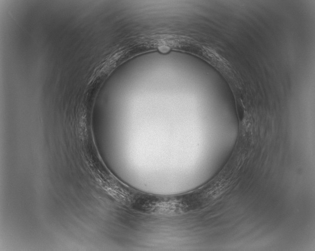 X0000053000306200507221254