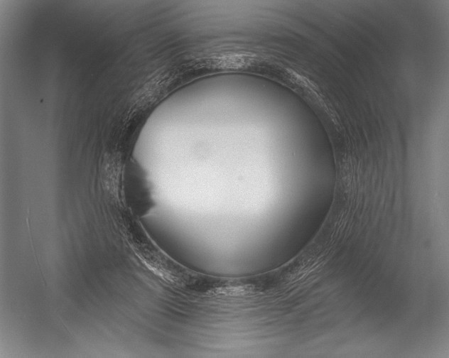 X0000053000307200507221254