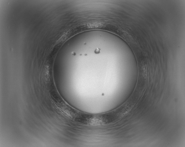 X0000053000308200507221254