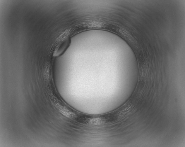 X0000053000309200507221254