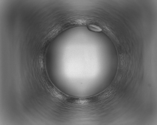 X0000053000313200507221254