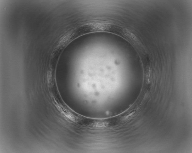 X0000053000314200507221254