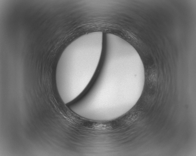 X0000053000315200507221254