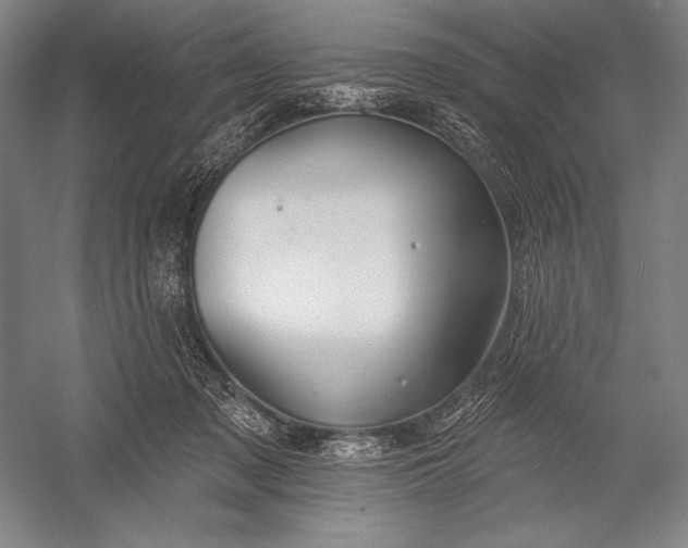 X0000053000317200507221254