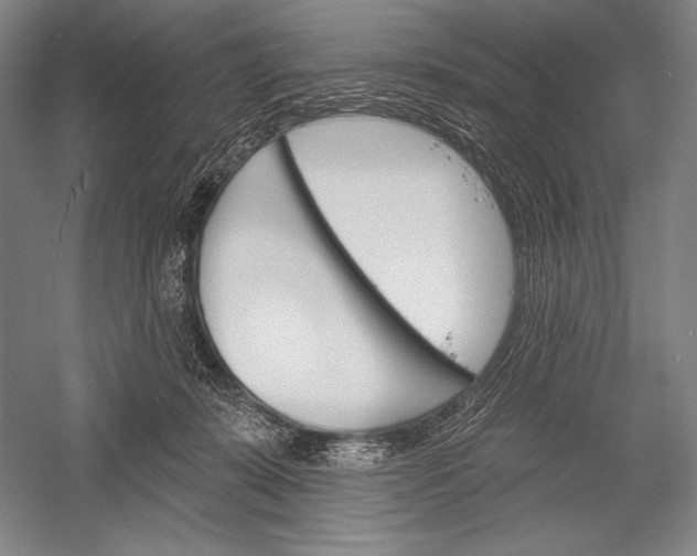 X0000053000319200507221254