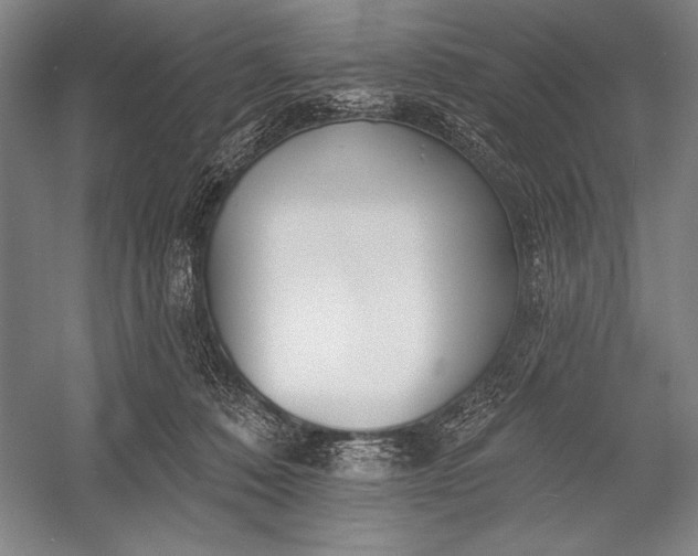 X0000053000320200507221254