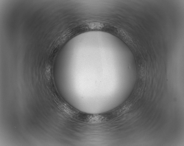 X0000053000321200507221254