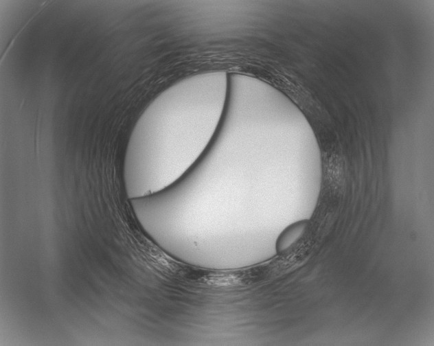 X0000053000322200507221254