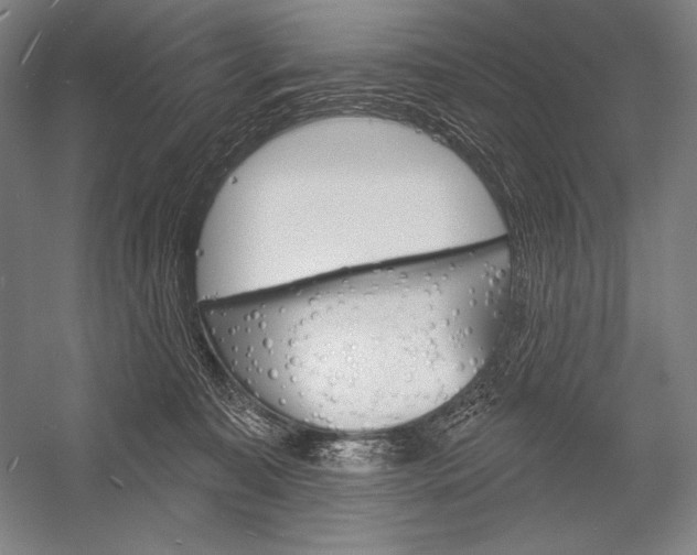 X0000053000323200507221254