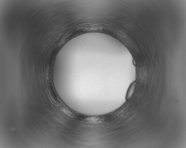 X0000053000326200507221254