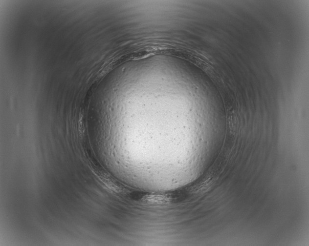 X0000053000327200507221254