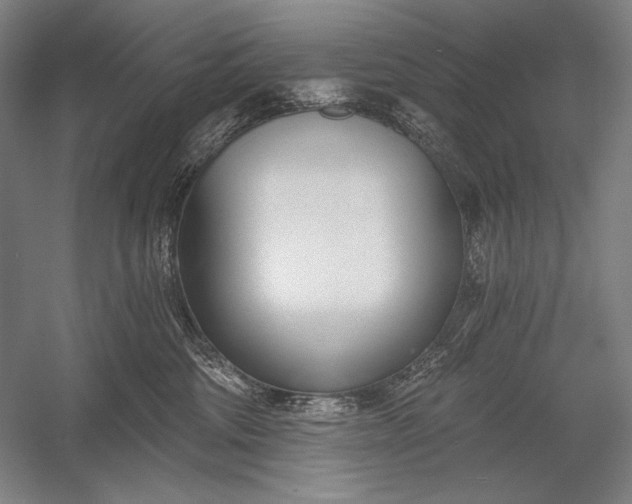 X0000053000330200507221253