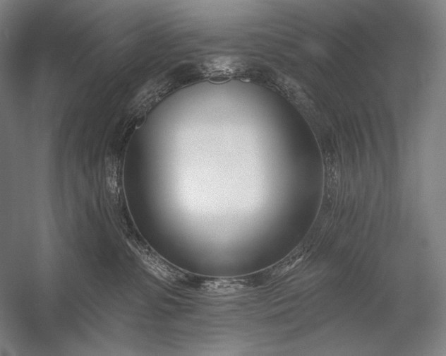 X0000053000331200507221253