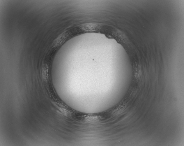 X0000053000332200507221253