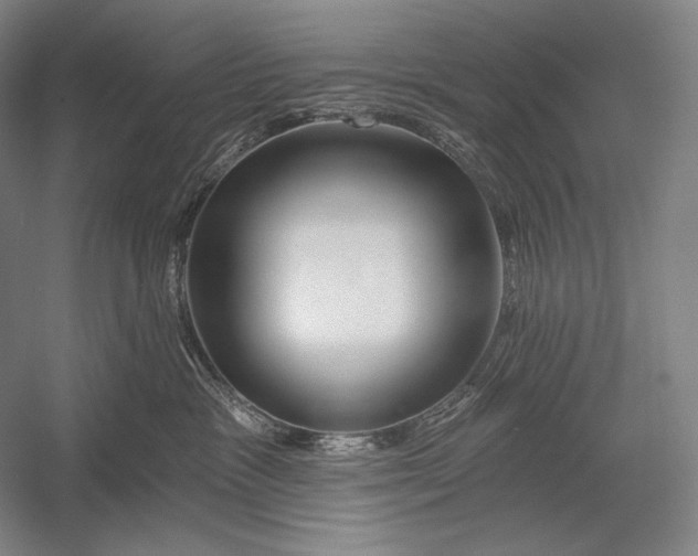 X0000053000333200507221253