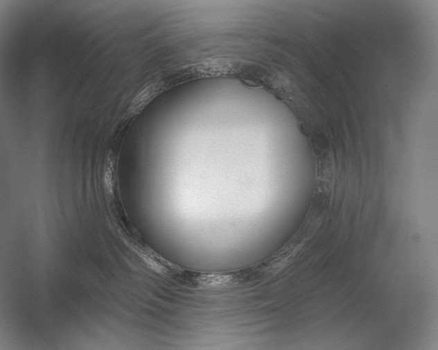 X0000053000334200507221253