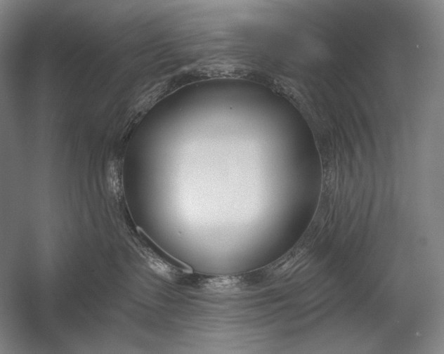 X0000053000335200507221253