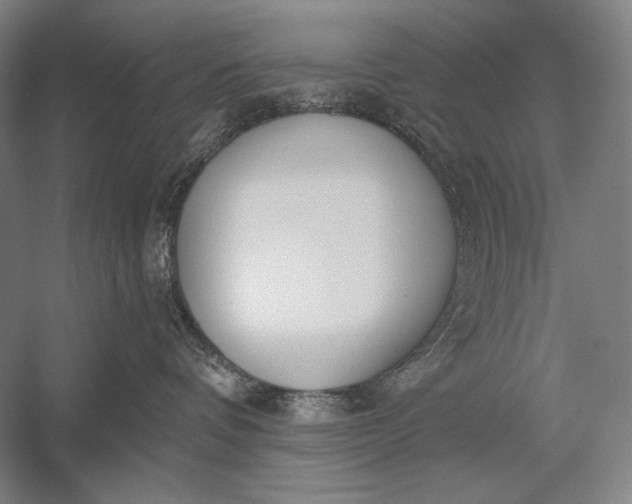 X0000053000336200507221253