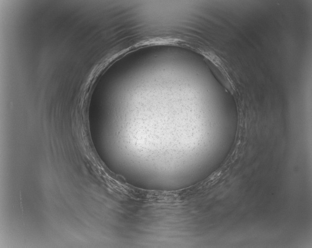 X0000053000337200507221253