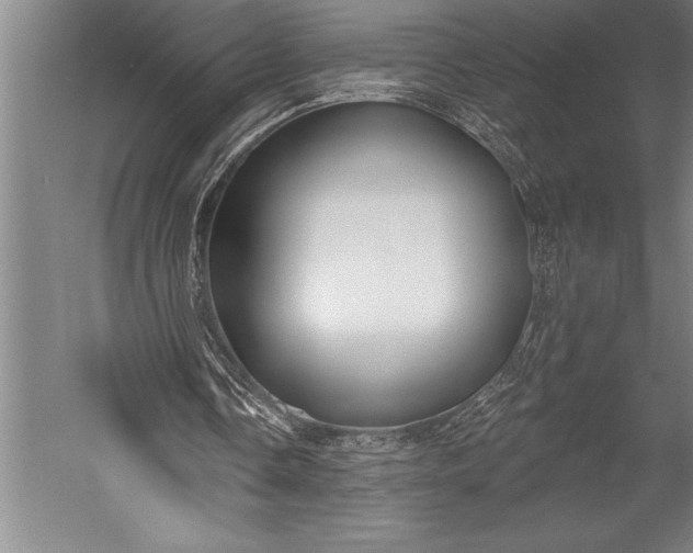 X0000053000338200507221253