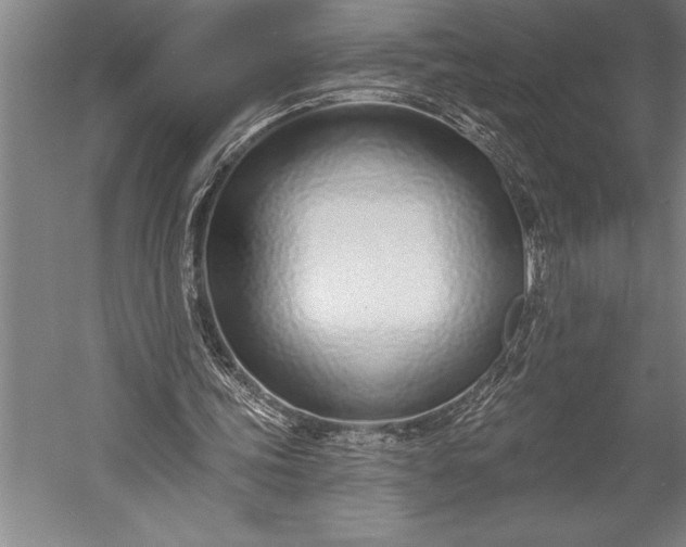 X0000053000339200507221253