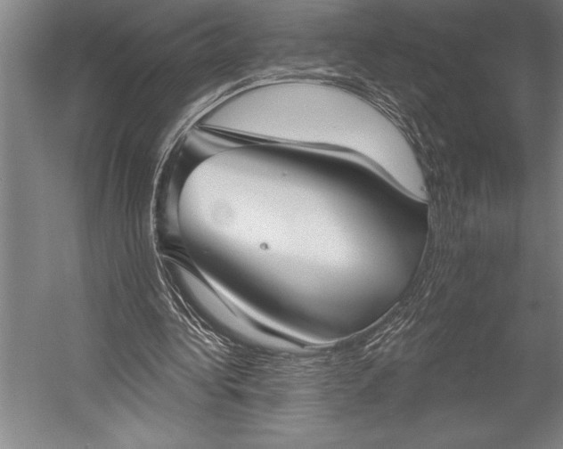 X0000053000340200507221253