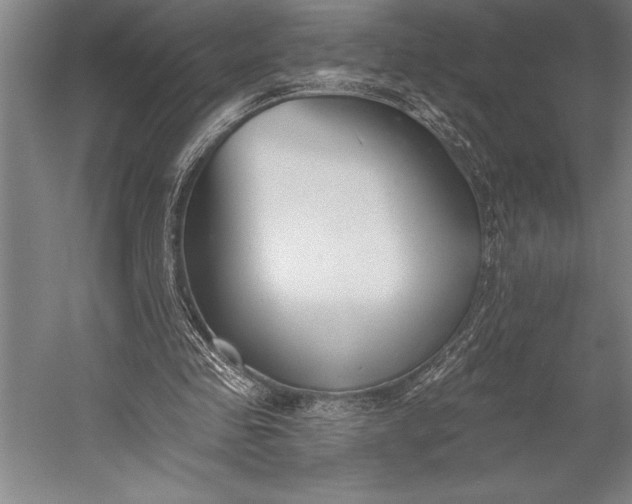 X0000053000341200507221253