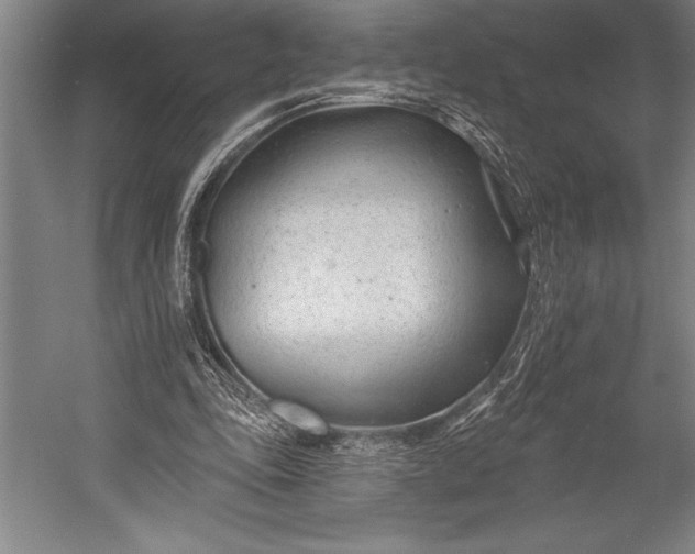 X0000053000343200507221253