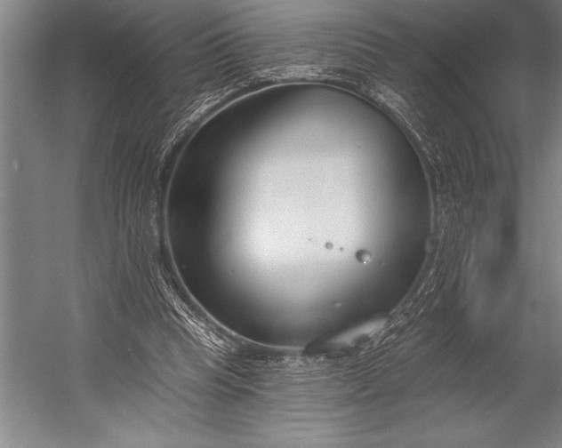 X0000053000345200507221253