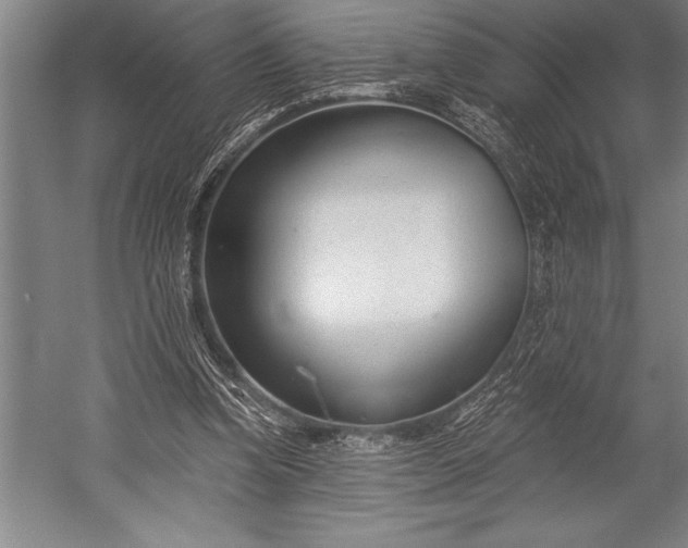 X0000053000346200507221253