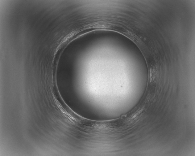 X0000053000349200507221253