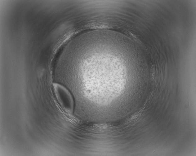 X0000053000351200507221253