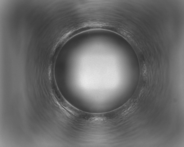 X0000053000352200507221253