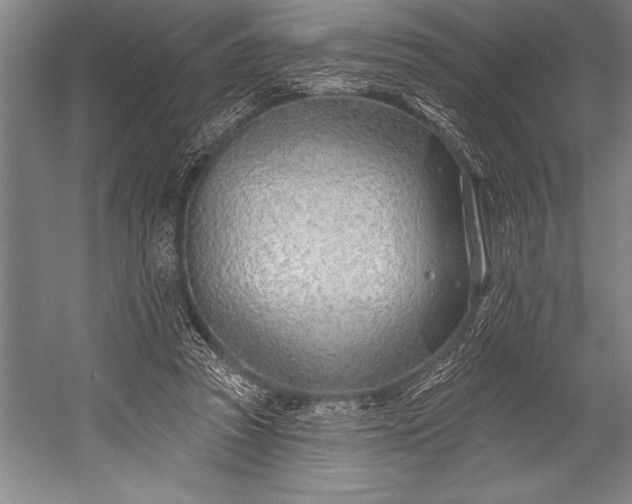 X0000053000353200507221253