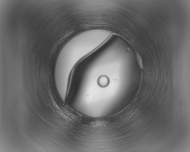 X0000053000356200507221253