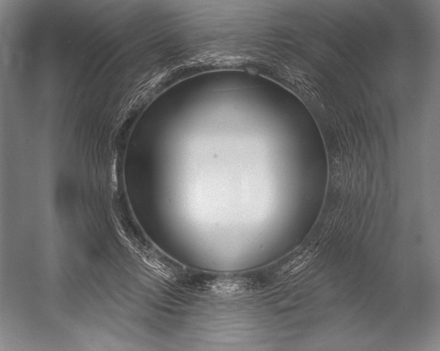 X0000053000358200507221253